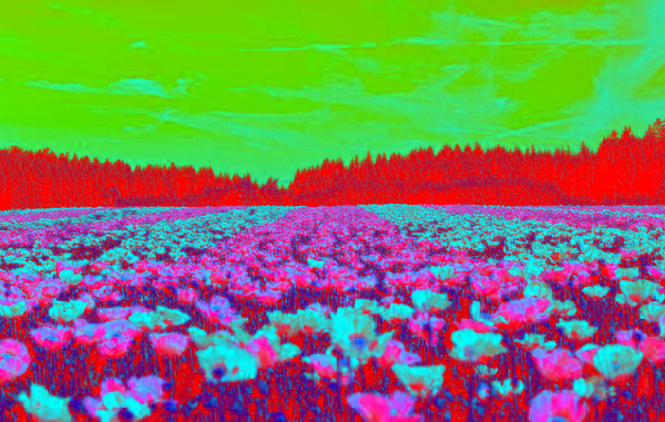 f:id:atsuhiro-me:20151104005458p:plain:w300 f:id:atsuhiro-me:20151104005458p:plain:w300