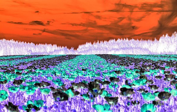 f:id:atsuhiro-me:20151104005501p:plain:w300 f:id:atsuhiro-me:20151104005501p:plain:w300