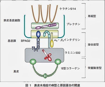 f:id:atsuhiro-me:20151119212040j:plain:w300 f:id:atsuhiro-me:20151119212040j:plain:w300