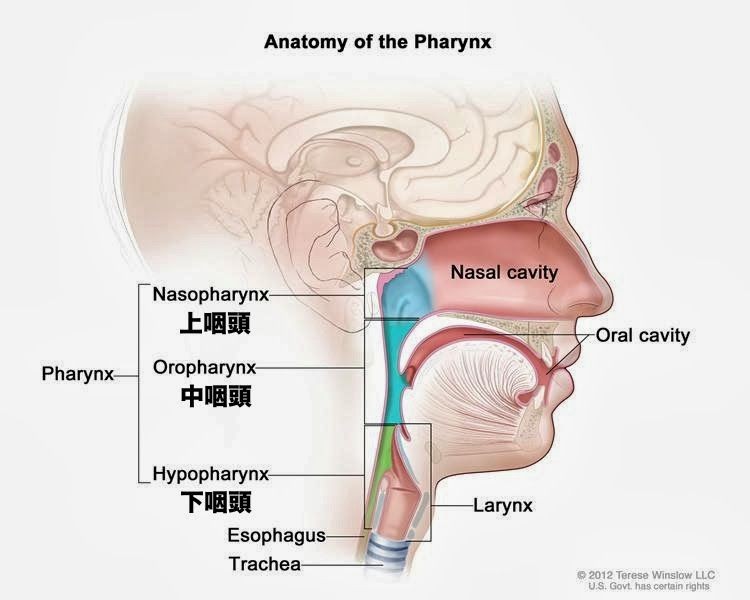 f:id:atsuhiro-me:20151128232018j:plain:w300