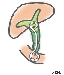 f:id:atsuhiro-me:20151129003809g:plain:w300