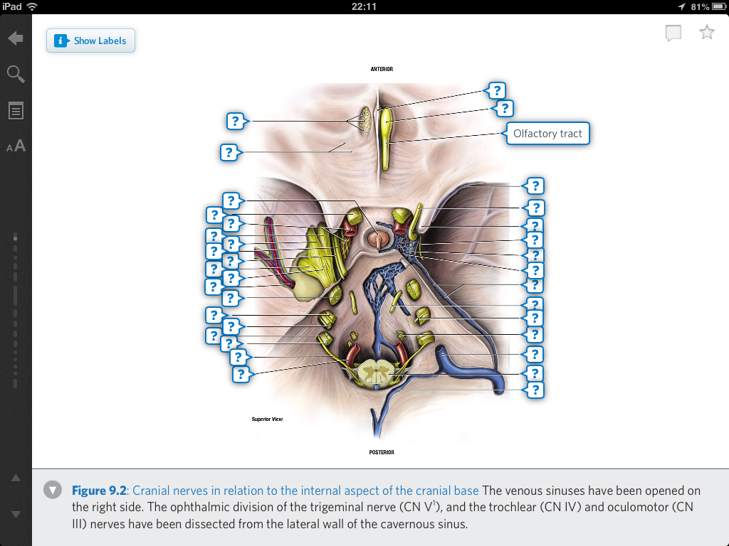 f:id:atsuhiro-me:20151129012406p:plain:w300