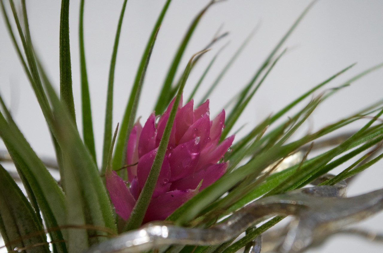 f:id:atsuhiro-me:20151217165310j:plain:w300