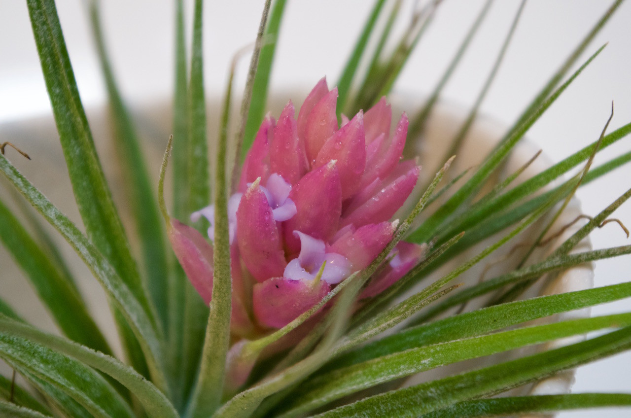 f:id:atsuhiro-me:20151220200501j:plain:w300