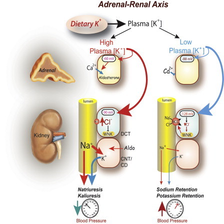 f:id:atsuhiro-me:20160122192707j:plain:w300