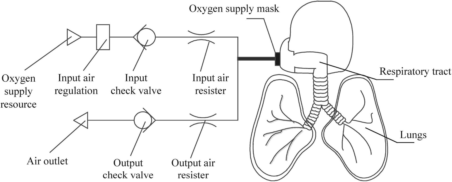 f:id:atsuhiro-me:20200211180951j:plain f:id:atsuhiro-me:20200211180951j:plain