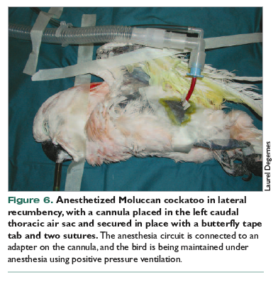 f:id:atsuhiro-me:20200211201543p:plain f:id:atsuhiro-me:20200211201543p:plain