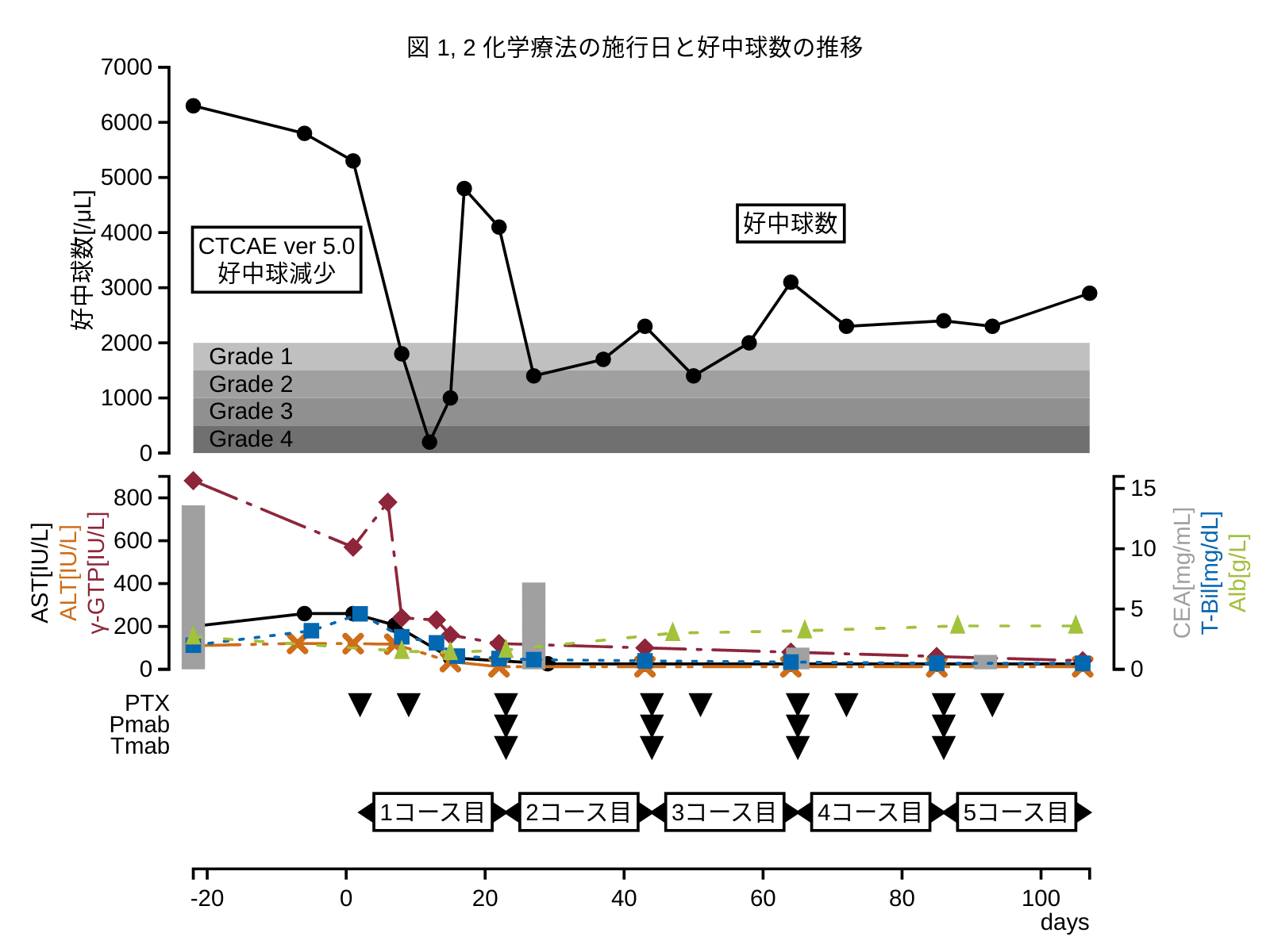 絶対好中球数 (ANC)