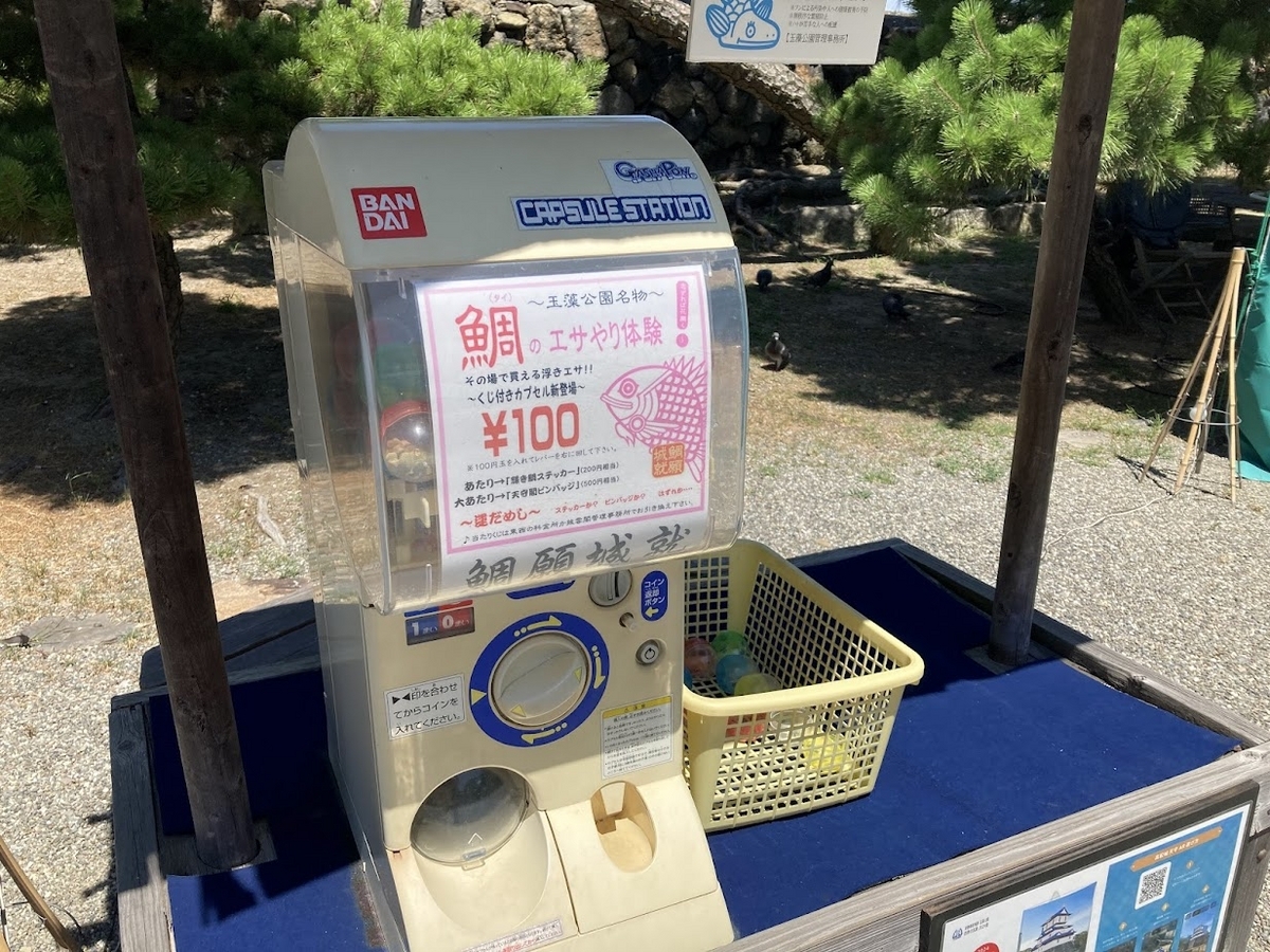 コイの餌やり体験というのがあるらしい