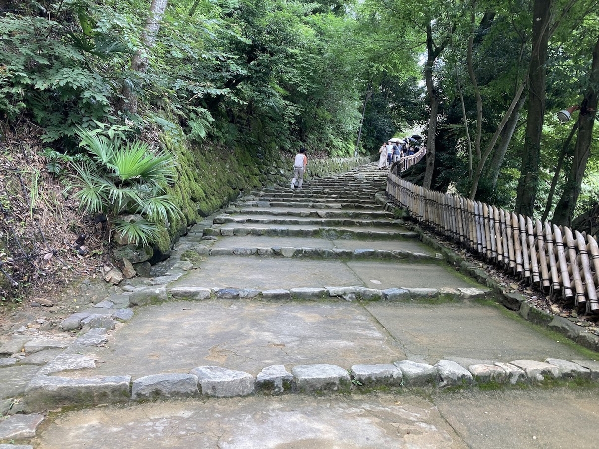 彦根城入場(入山)