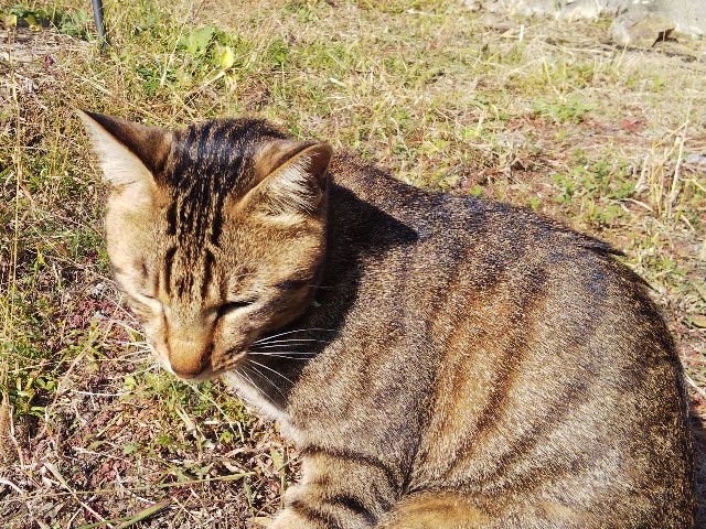 f:id:atsujo16:20231119153937j:image