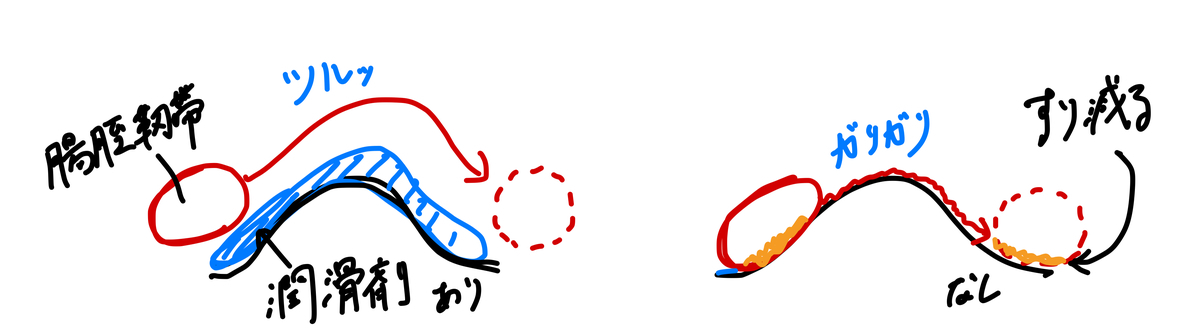 f:id:atsuki800:20210321095602j:plain