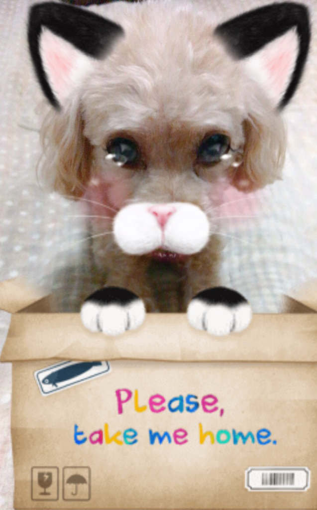 f:id:atsukichikun:20161005204345p:plain