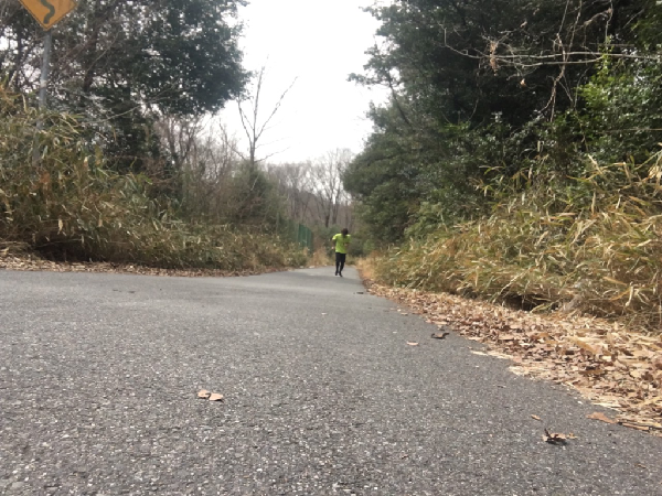 f:id:atsukichikun:20161231104008p:plain