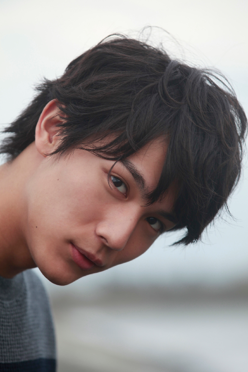 f:id:atsukichikun:20170131095939p:plain