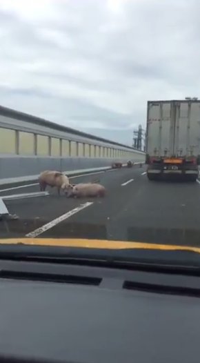 f:id:atsukichikun:20170608114105p:plain f:id:atsukichikun:20170608114105p:plain