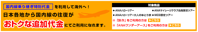 ANAお得な国内乗継代金