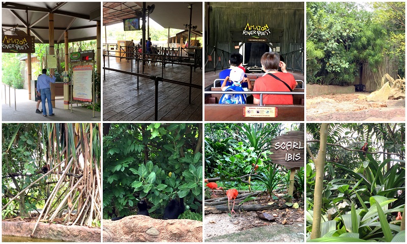 Singapore River Safari Amazon River Quest 2016-10-08