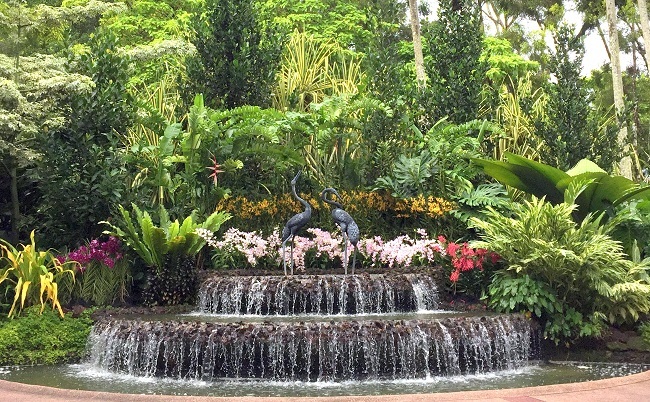 Singapore Botanic Garden National Orchid Garden 01IMG_6869