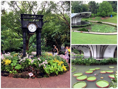 Singapore Botanic Garden 04 2016-10-09 (2)