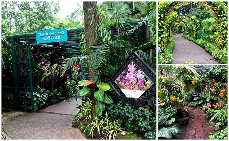 Singapore Botanic Garden National Orchid Garden 031 2016-10-09