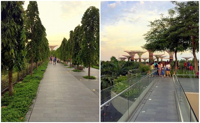 Singapore Marina Bay bridge Lions Bridge 01 2016-10-09