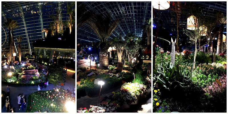 Garden By The Bay Flower Dome 01 2016-10-09