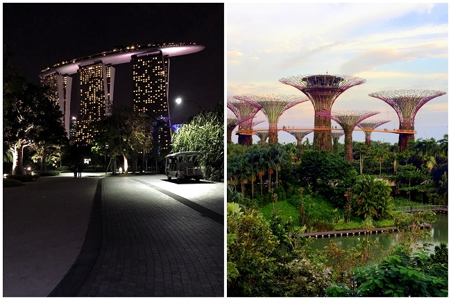 Marina Bay Sands Gardens By The Bay 2016-10-091