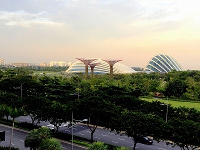 Singapore Flower Dome Cloud Forest IMG_7296