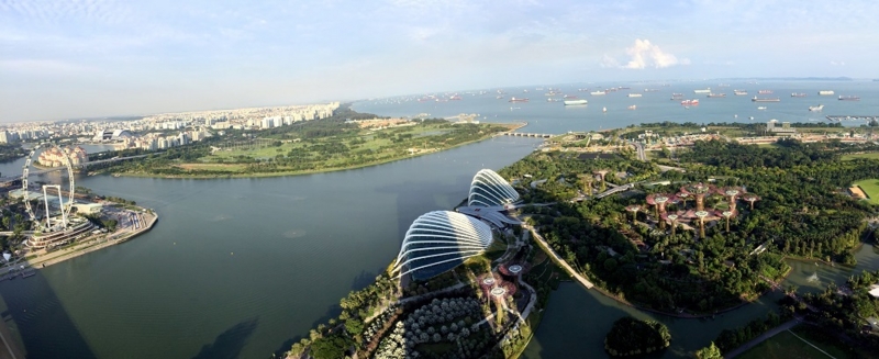 Gardens By The Bay 01 IMG_7248