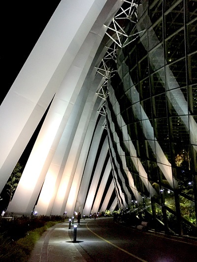 Garden By The Bay Cloud Forest 01IMG_7430