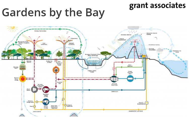 Gardens by the Bay -Grant Associates