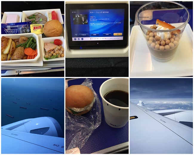 ANA NH842 Singapore Tokyo SIN-HND 2016-10-102