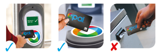 Opalカードのタップオン方法 オーストラリア NSW Opalカード カードリーダー タップオン