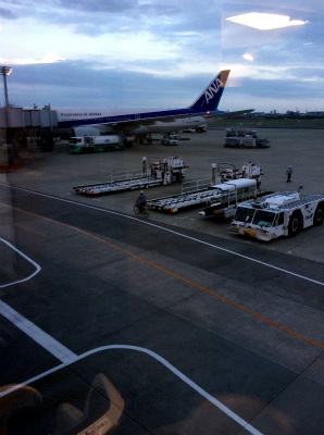 東京　羽田空港　ANA　到着