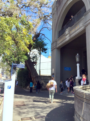 オーストラリア　シドニー　パイロンルックアウトへ行く途中　カンバーランドにあるブリッジ・ステアー