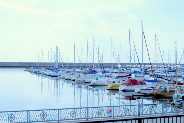 2013_02_11_IMG_1357 (2)