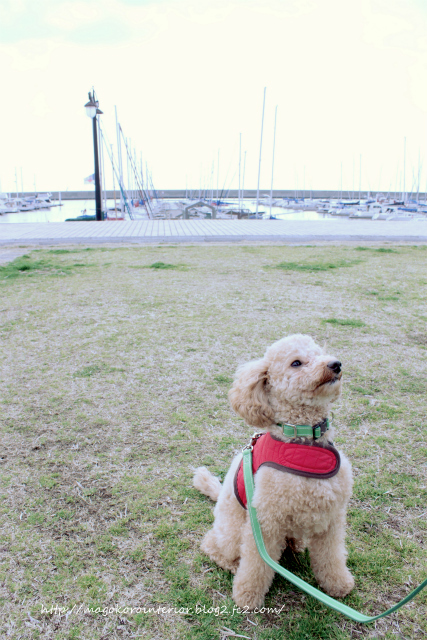 2013_02_11_IMG_1358 (2)