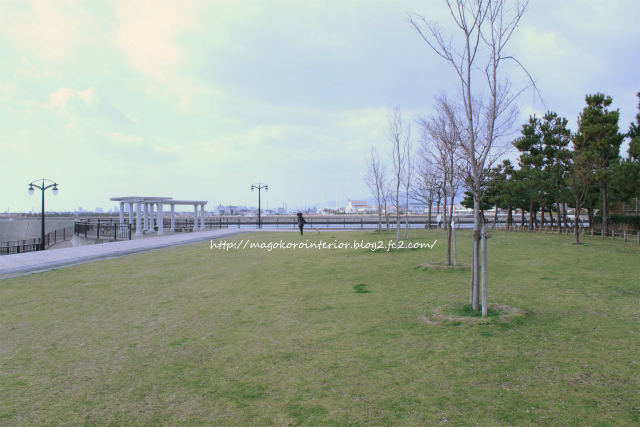 2013_02_11_IMG_1367 (2)