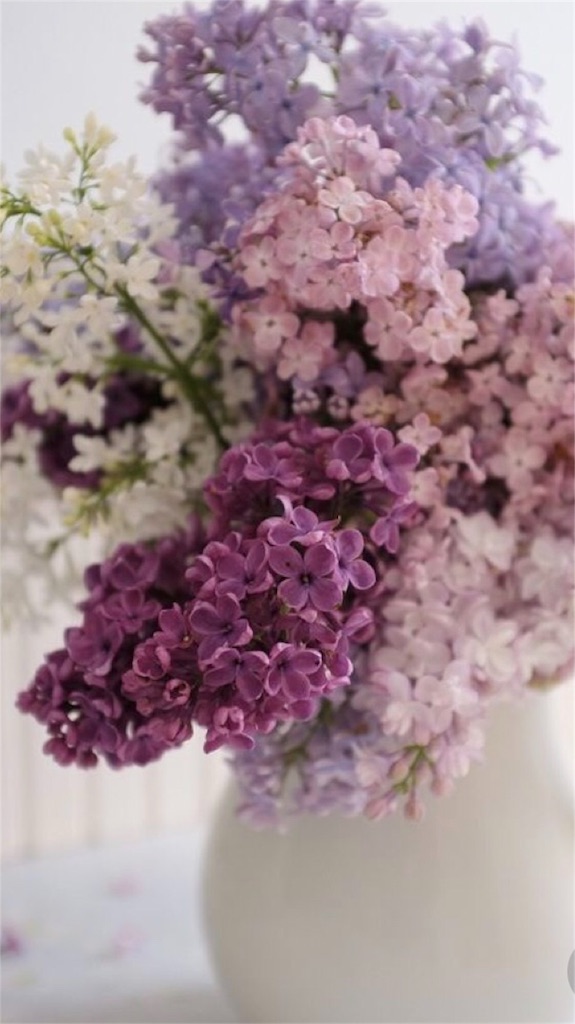 f:id:atsuko8:20180822162234j:image