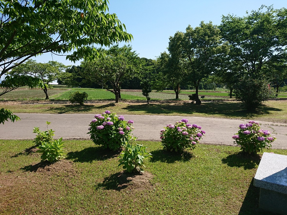 f:id:atsuman:20200623190748j:plain