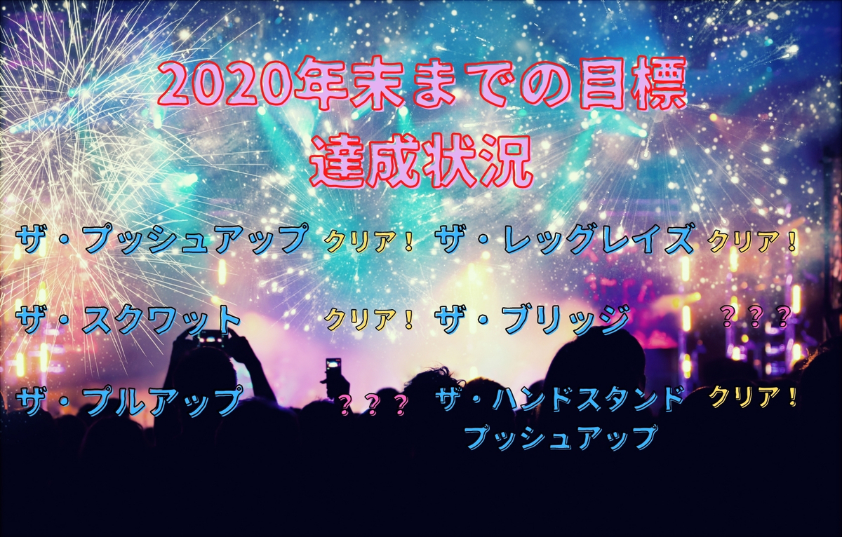 2020年末までの目標達成状況