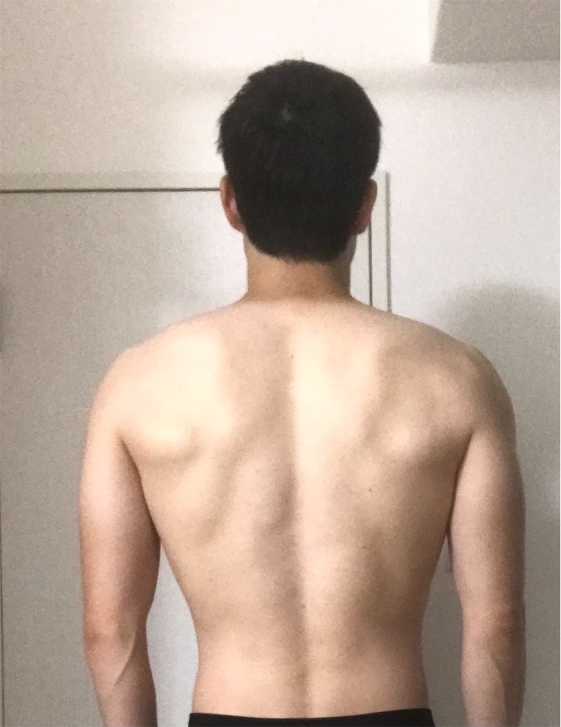 f:id:atsumar:20210614221911j:image