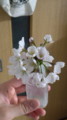 20170419233641