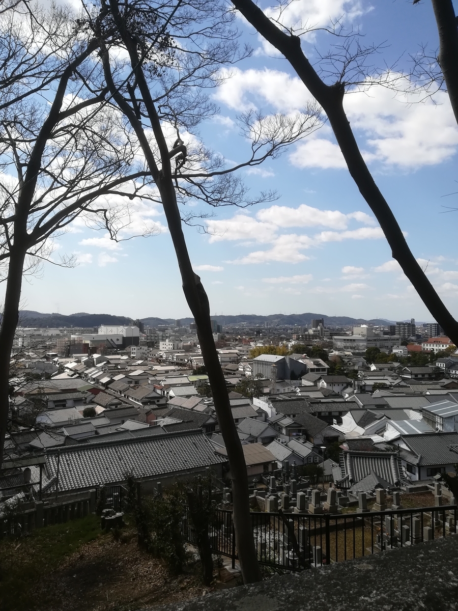 f:id:atsunor:20190326190848j:plain