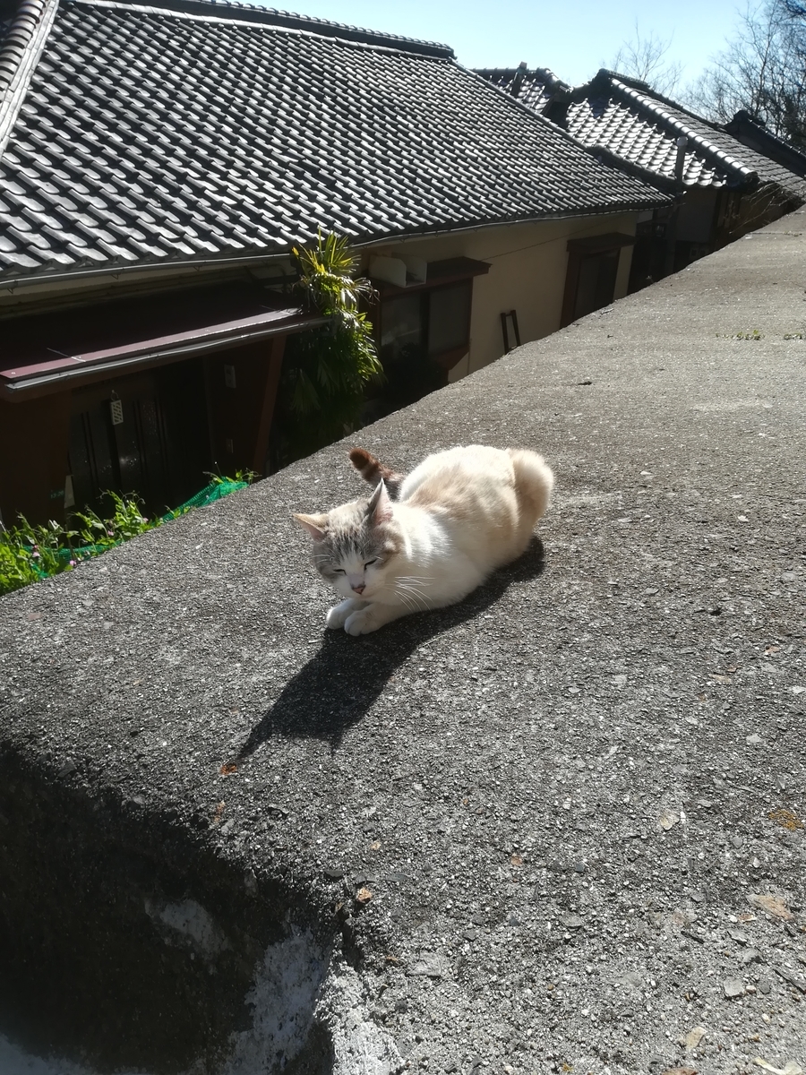 f:id:atsunor:20190326213837j:plain