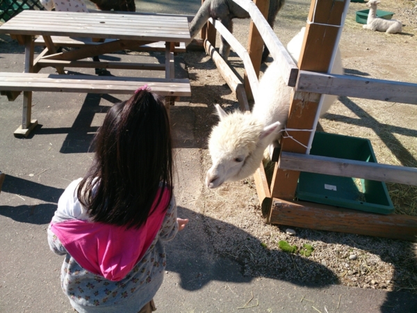 f:id:atsurin:20131201160203j:image:w300