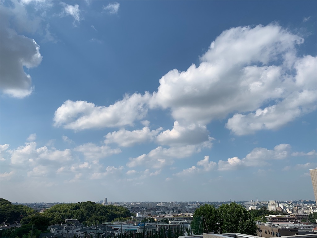 f:id:atsushi-diet:20190702170131j:image f:id:atsushi-diet:20190702170131j:image