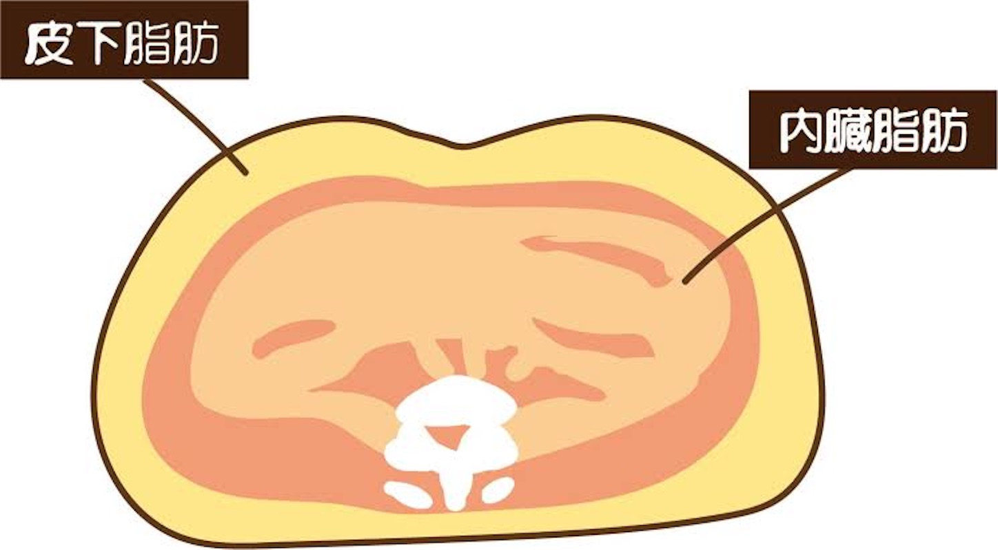 f:id:atsushi117:20230804013019j:image