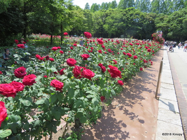 f:id:atsushi912:20180512163621j:plain
